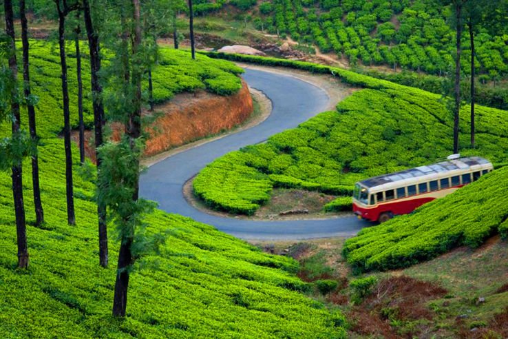 Munnar Tour Package