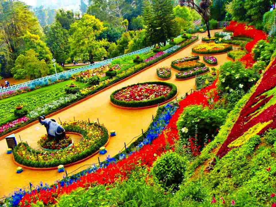 Ooty Package